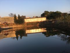-元鼎宝驴香·全驴宴(江宁店)
