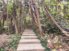 -杭州半山国家森林公园