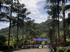 -重庆海昌加勒比海水世界