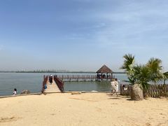 -瑶湖郊野森林公园