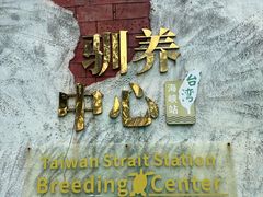 -广东惠东海龟国家级自然保护区