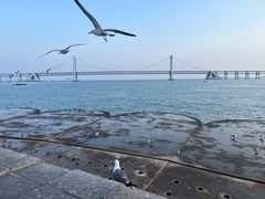 -星海湾跨海大桥