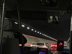 -胶州湾海底隧道