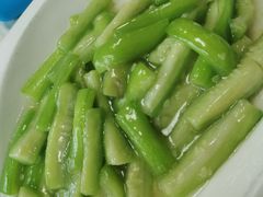 -丁老爷子苏香圆