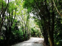 -大湾区中央湿地公园