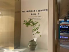 -柏乐口腔(南宁总院)