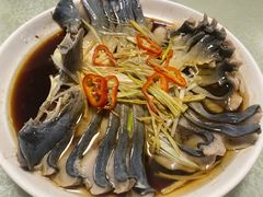 -煲来饱去冷水鱼