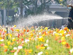 -二沙岛艺术公园