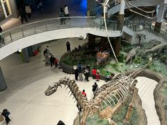 -辽宁古生物博物馆