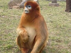 -西安秦岭野生动物园