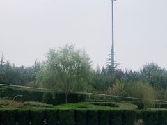 -臻悦海宴.家宴(奥体中心店)