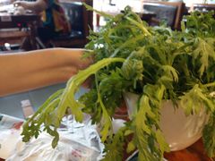 茼蒿-惠友大虾(太原北街店)