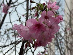 -福道