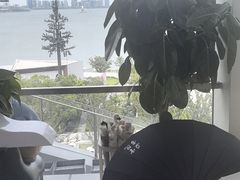 -朵云书院(滴水湖店)