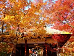 -常寂光寺