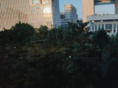-同庆楼(天鹅酒家店)