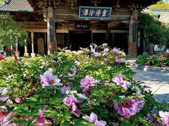 -窦大夫祠