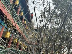 -翰园碑林