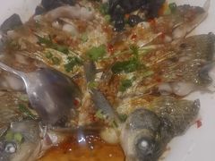 -龙悦湾酒家·八阵鱼生·渔人码头店
