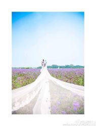 完美新娘-完美新娘婚纱摄影