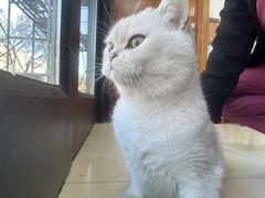 -宠福鑫动物医院(城北分院)