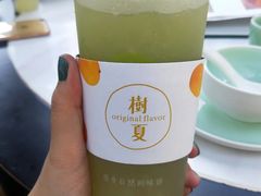 多肉绿葡萄-树夏(鹭洲里店)