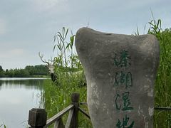 -溱湖国家湿地公园