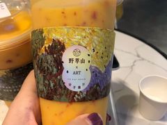-野萃山·潮汕厚果汁(十亩地店)