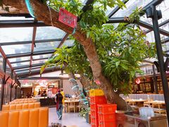 -海岛八号龙虾烧烤田鸡(蓝天路总店)