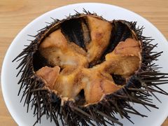 -海胆小馆(东北水饺·春柳店)