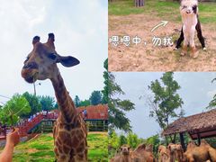 -济南野生动物世界