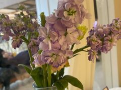 -晶雅花园西餐厅(南京首店)
