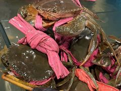 -辣螃铠盆盆蟹大排档(总店)