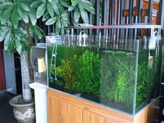 -繁花足道(梅江店)