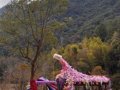-龙湾潭国家森林公园