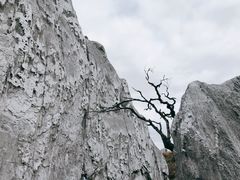 -折多山