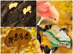 -承恩寺