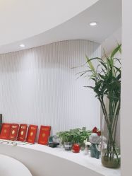 -玛尼瑜伽·普拉提
