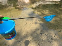 -碓臼峪自然风景区