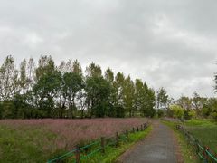 -南湖湿地公园