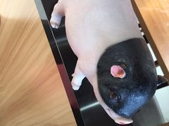 -猪角·闽南猪脚饭(文三路店)
