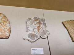 -衢州市博物馆