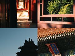 -故宫博物院(故宫)