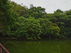 -广州市白云山风景名胜区
