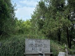 -洛阳白马寺