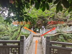 -南山植物园