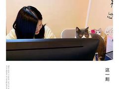 -猫音日语留学培训