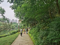 -重庆彩云湖湿地公园
