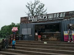 -田园东方蜜桃村的田野营地