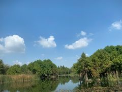 -贡湖湾湿地公园